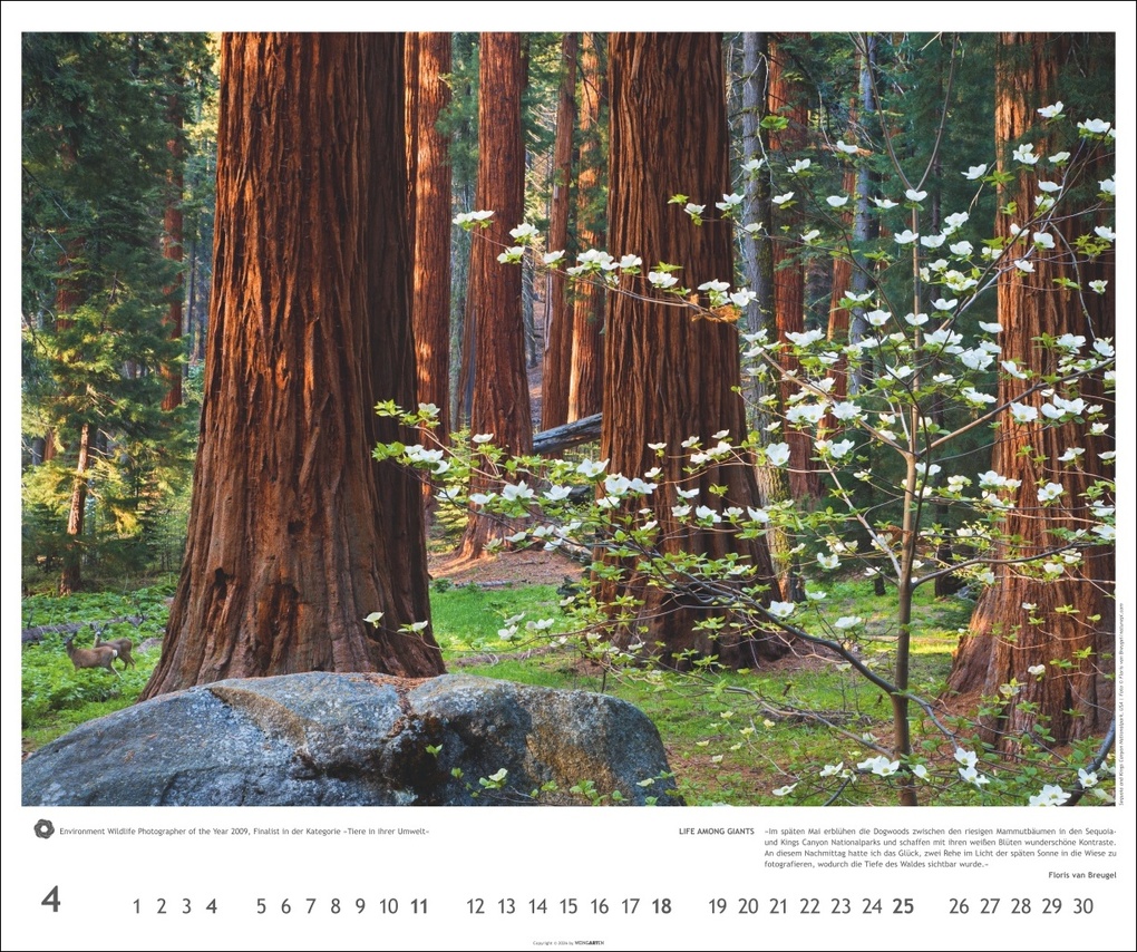 Weitere Ansicht: Meisterwerke der Natur 2027 - Preisgekrönte Naturfotografie