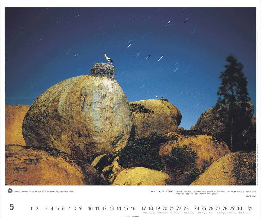 Weitere Ansicht: Meisterwerke der Natur 2027 - Preisgekrönte Naturfotografie