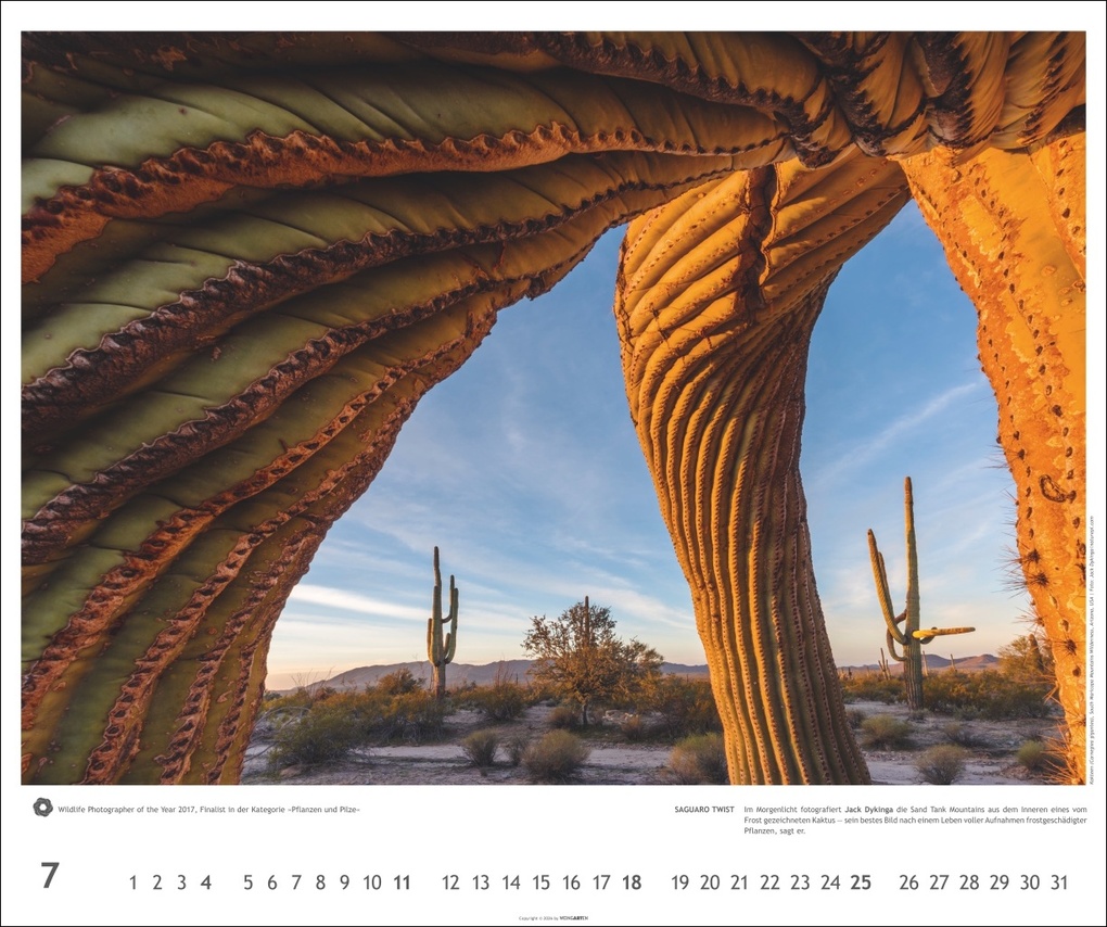 Weitere Ansicht: Meisterwerke der Natur 2027 - Preisgekrönte Naturfotografie