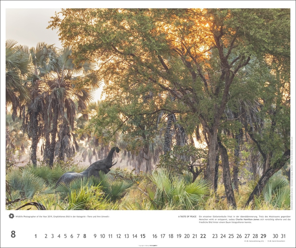 Weitere Ansicht: Meisterwerke der Natur 2027 - Preisgekrönte Naturfotografie