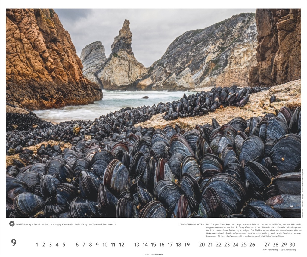 Weitere Ansicht: Meisterwerke der Natur 2027 - Preisgekrönte Naturfotografie