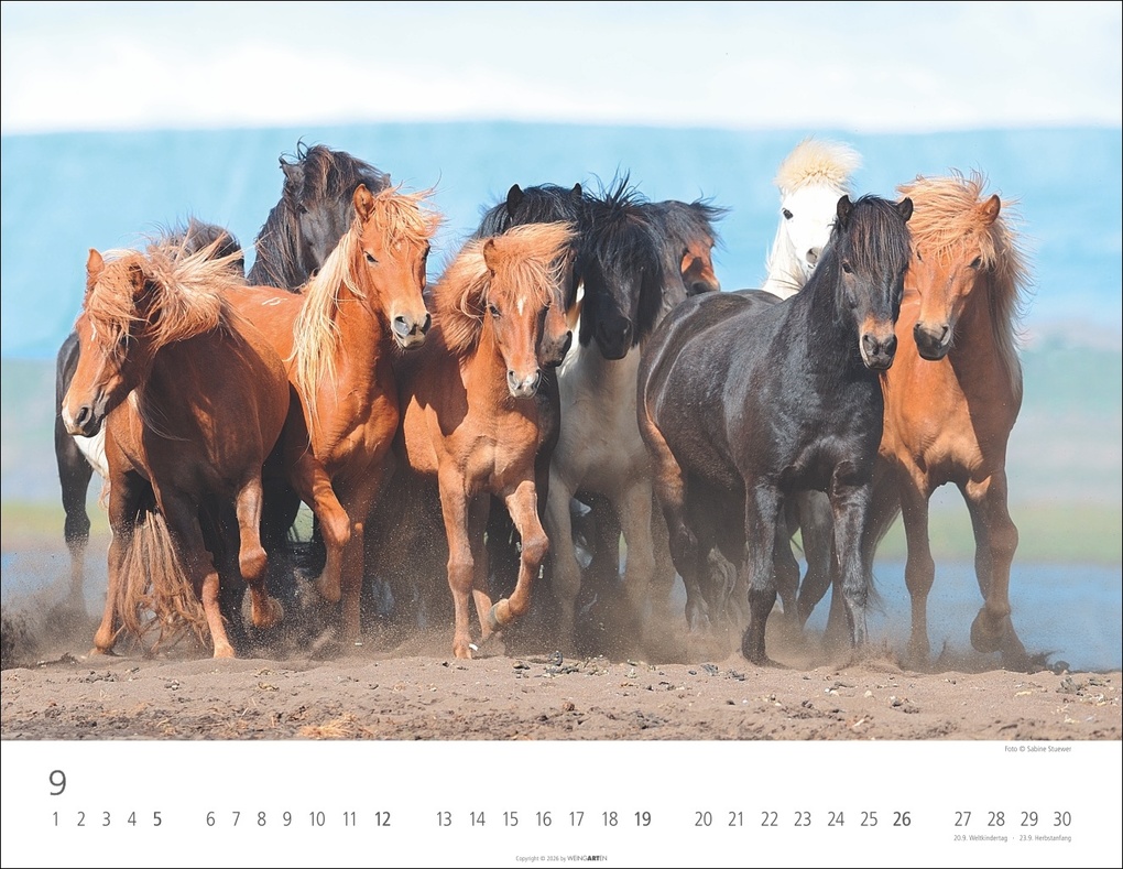 Weitere Ansicht: Islandpferde Kalender 2027