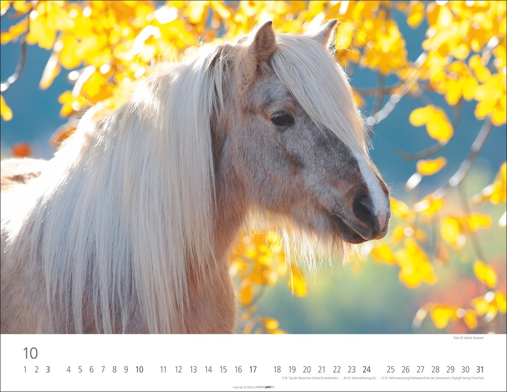 Weitere Ansicht: Islandpferde Kalender 2027