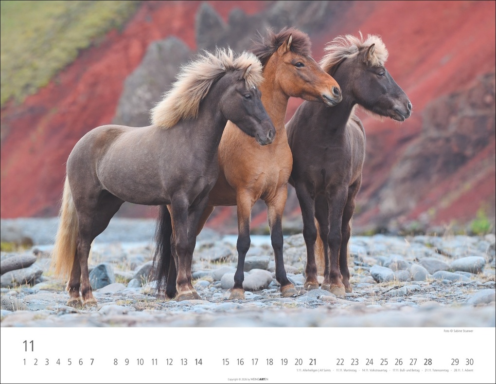 Weitere Ansicht: Islandpferde Kalender 2027