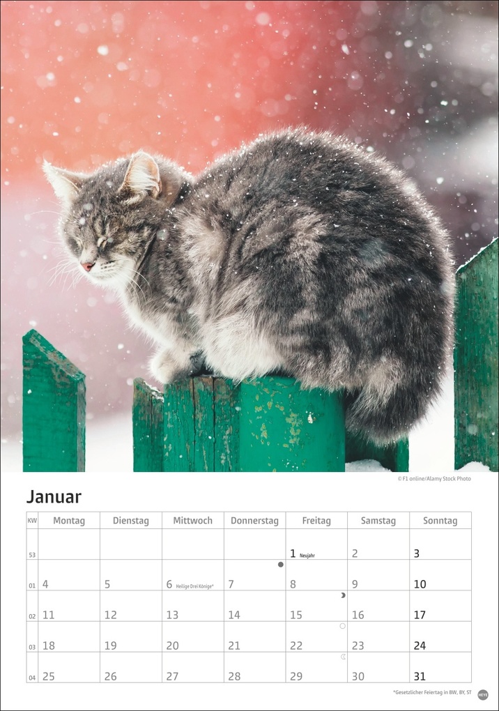 Weitere Ansicht: Katzen Kalender 2027
