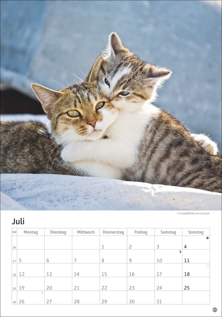 Weitere Ansicht: Katzen Kalender 2027