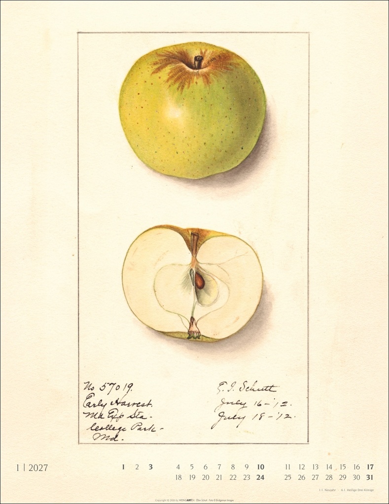 Weitere Ansicht: Alte Sorten Kalender 2027