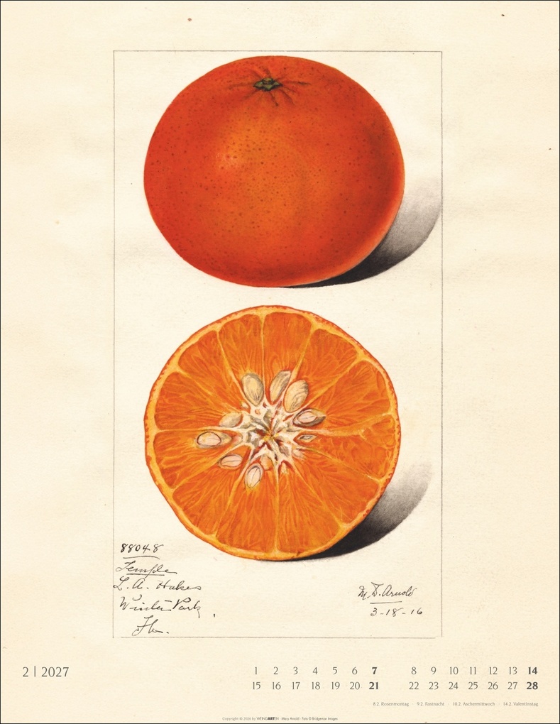Weitere Ansicht: Alte Sorten Kalender 2027