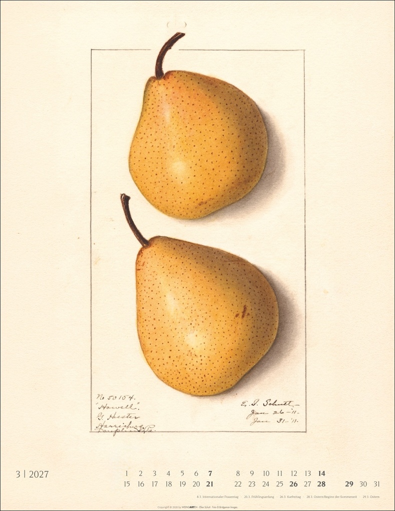 Weitere Ansicht: Alte Sorten Kalender 2027