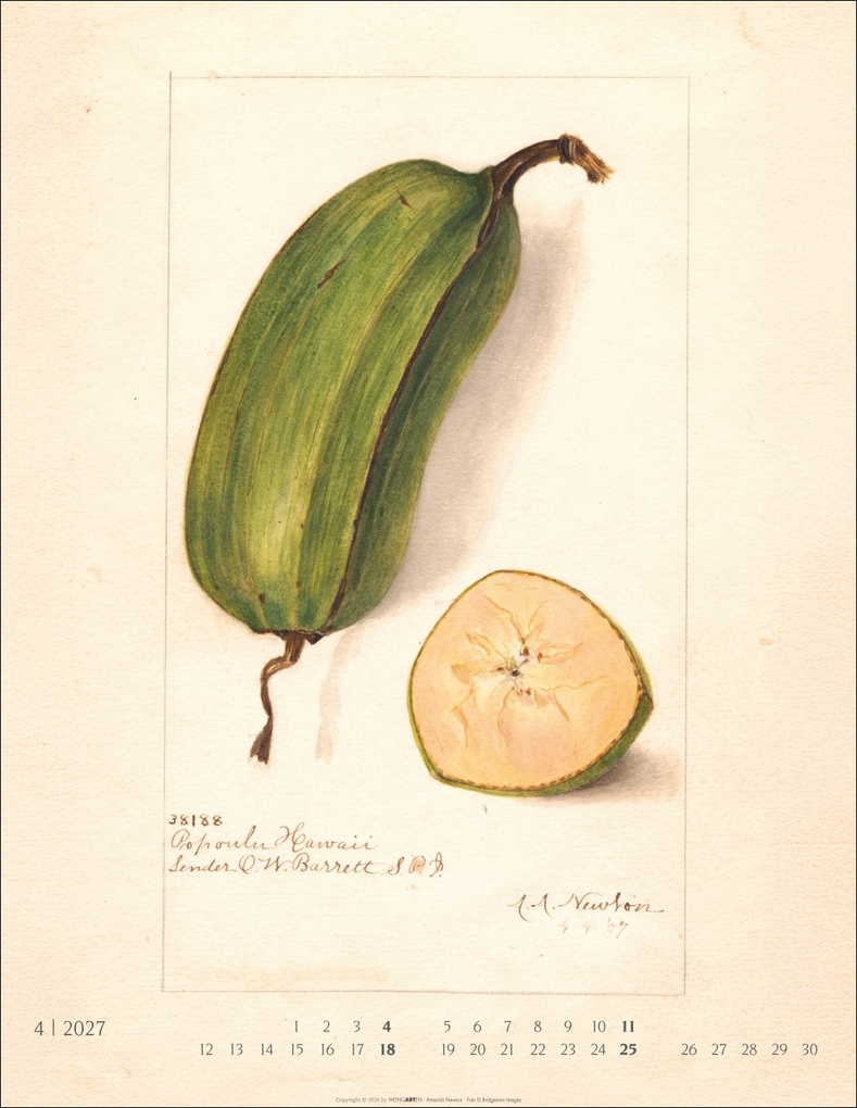 Weitere Ansicht: Alte Sorten Kalender 2027