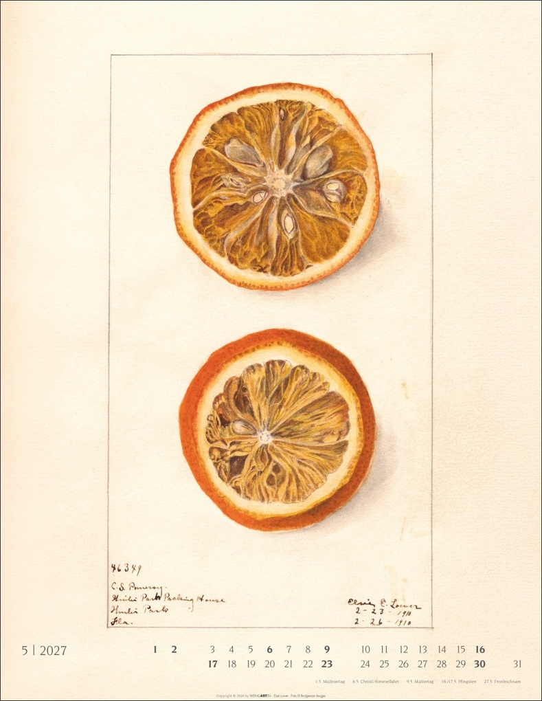 Weitere Ansicht: Alte Sorten Kalender 2027