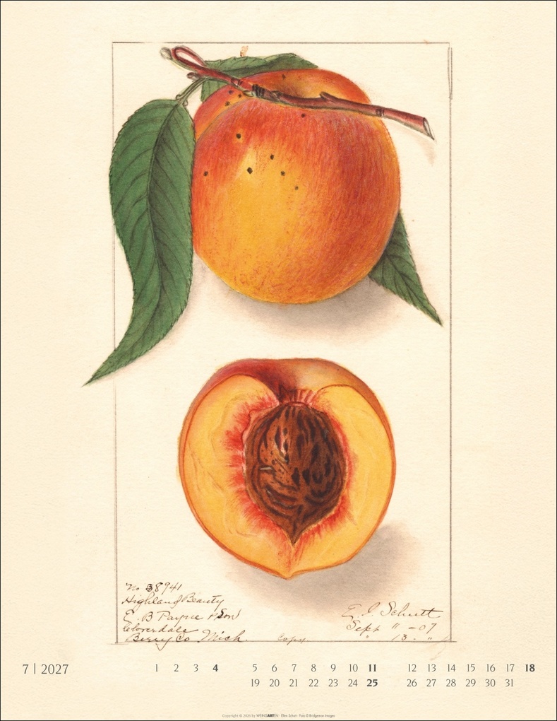 Weitere Ansicht: Alte Sorten Kalender 2027