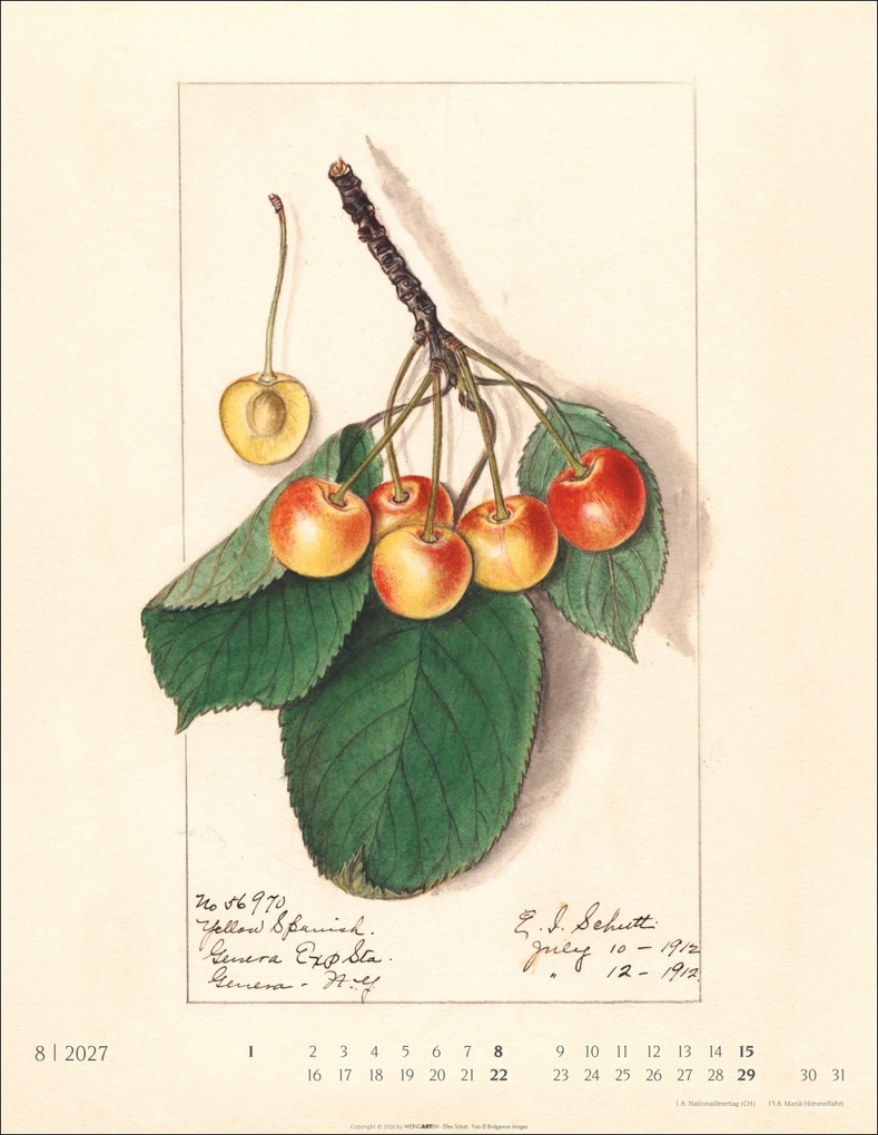 Weitere Ansicht: Alte Sorten Kalender 2027