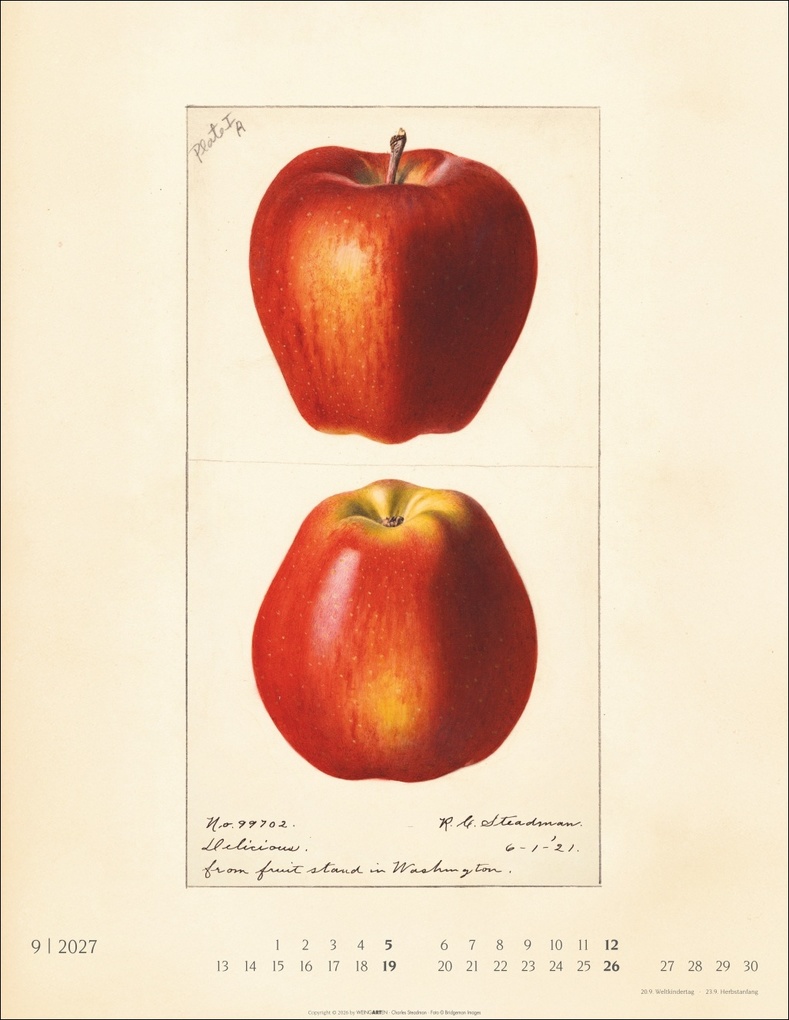 Weitere Ansicht: Alte Sorten Kalender 2027