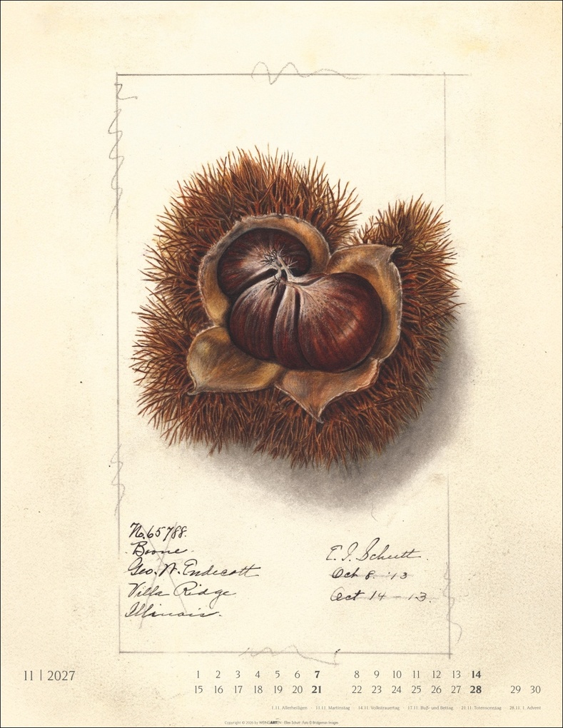 Weitere Ansicht: Alte Sorten Kalender 2027