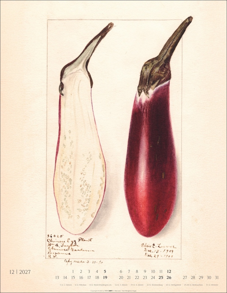 Weitere Ansicht: Alte Sorten Kalender 2027