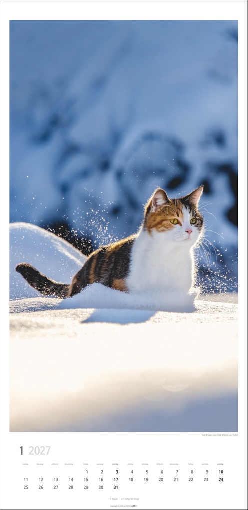 Weitere Ansicht: Katzen Kalender 2027