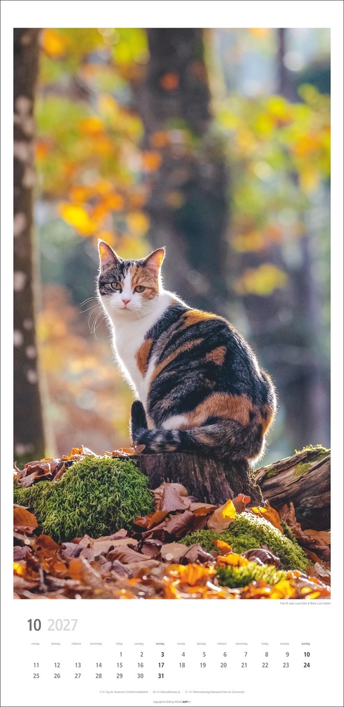 Weitere Ansicht: Katzen Kalender 2027