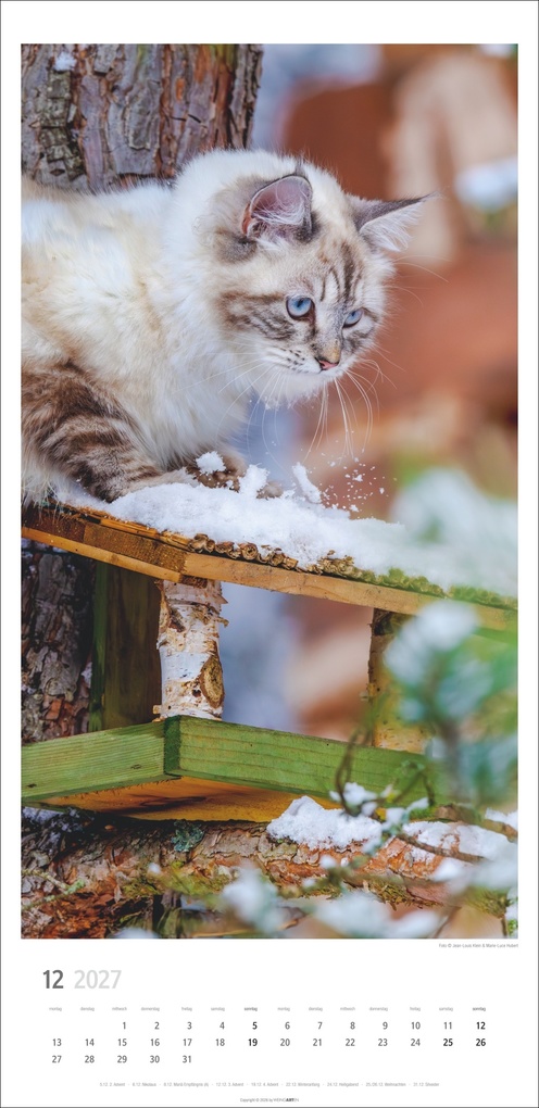Weitere Ansicht: Katzen Kalender 2027