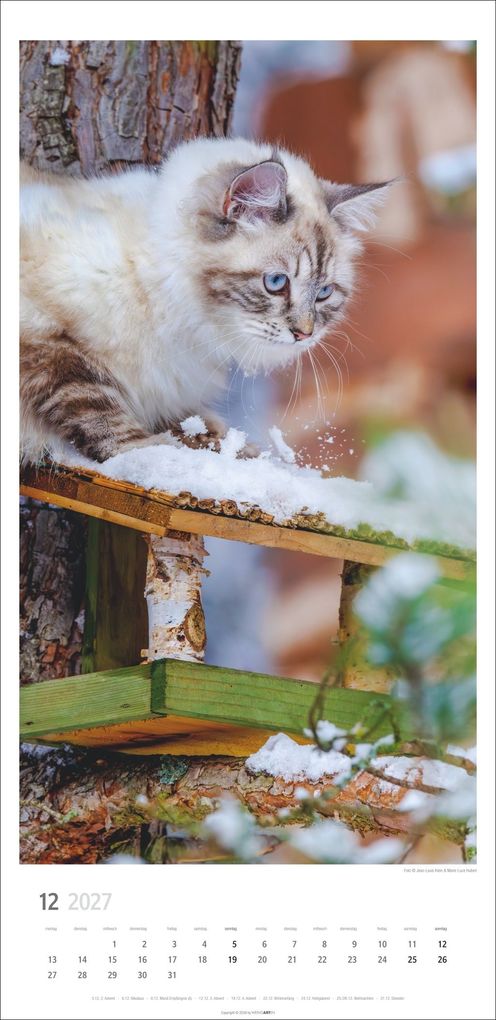 Weitere Ansicht: Katzen Kalender 2027