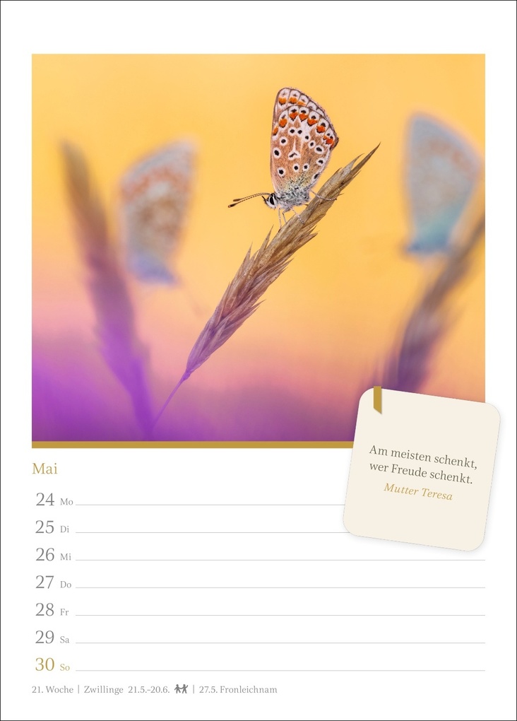 Weitere Ansicht: Momente der Achtsamkeit Wochenkalender 2027 - Wochenkalender mit Zitaten