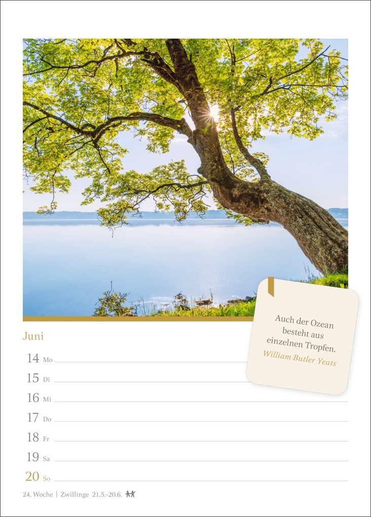 Weitere Ansicht: Momente der Achtsamkeit Wochenkalender 2027 - Wochenkalender mit Zitaten