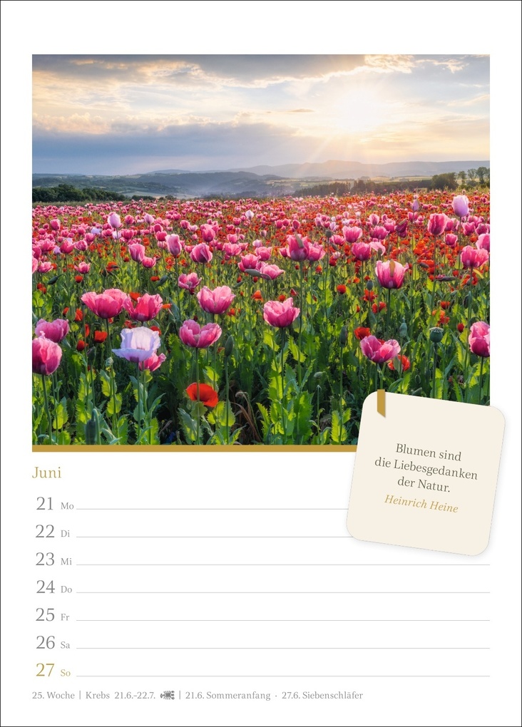 Weitere Ansicht: Momente der Achtsamkeit Wochenkalender 2027 - Wochenkalender mit Zitaten