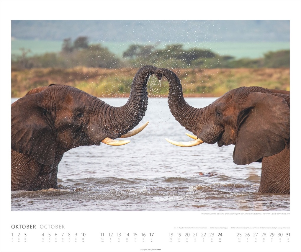 Weitere Ansicht: Elefanten Kalender 2027