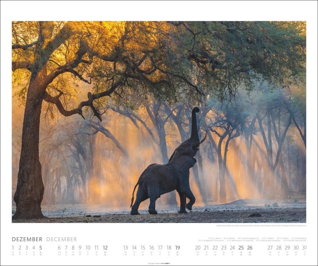 Weitere Ansicht: Elefanten Kalender 2027