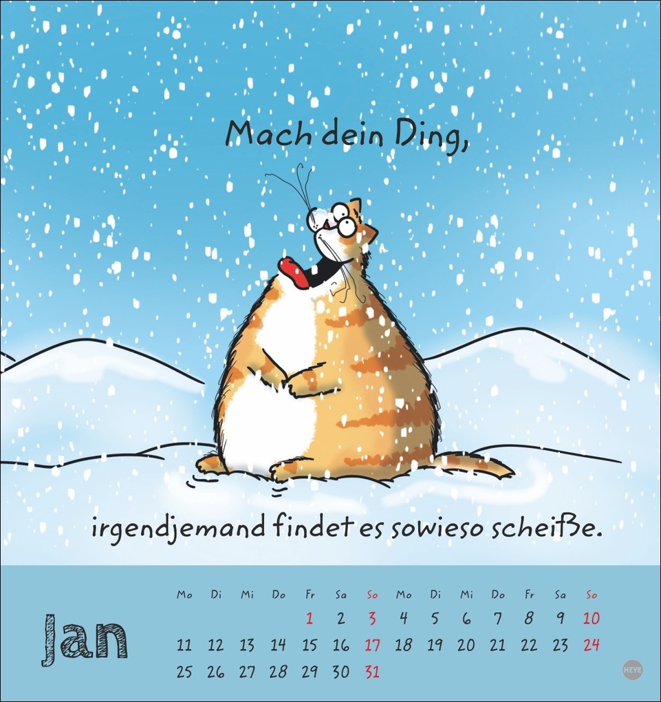 Weitere Ansicht: Catzz Postkartenkalender 2027 | Alexander Holzach