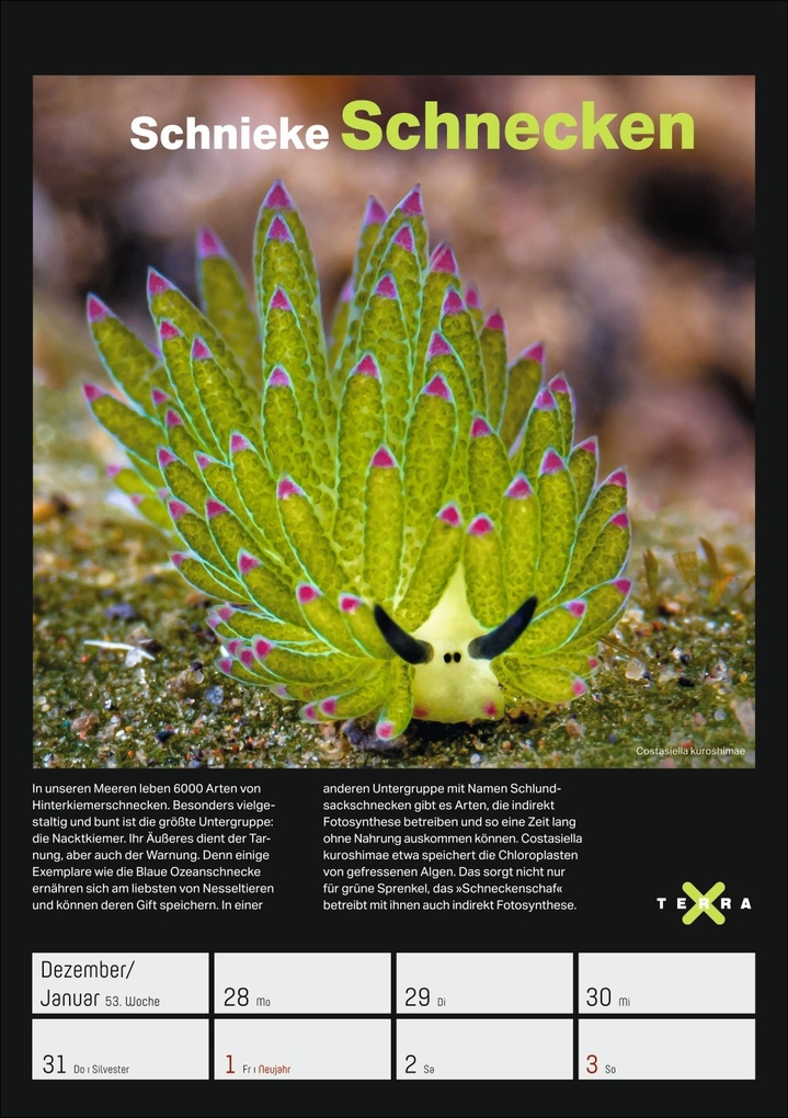 Weitere Ansicht: Terra X - Das Wunder Erde Wochenplaner 2027