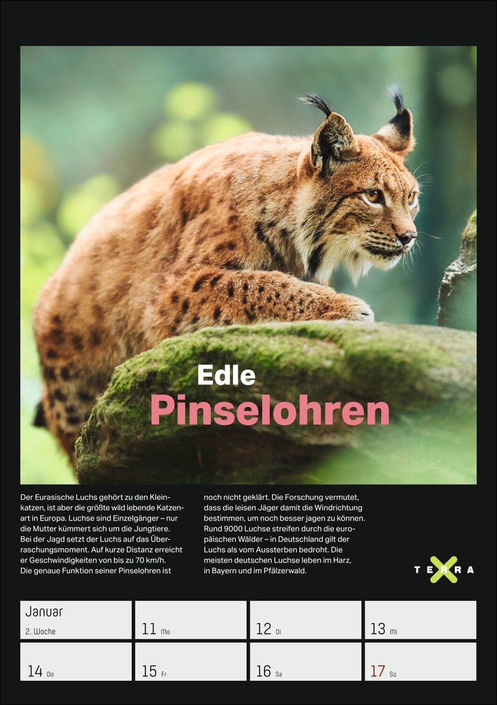 Weitere Ansicht: Terra X - Das Wunder Erde Wochenplaner 2027