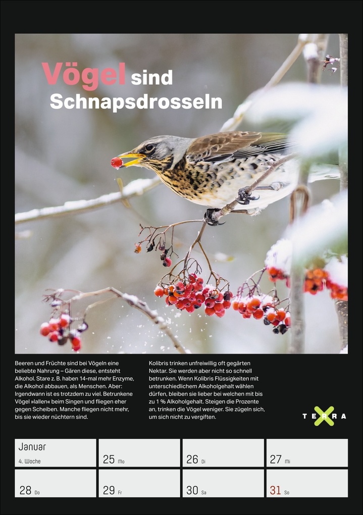 Weitere Ansicht: Terra X - Das Wunder Erde Wochenplaner 2027