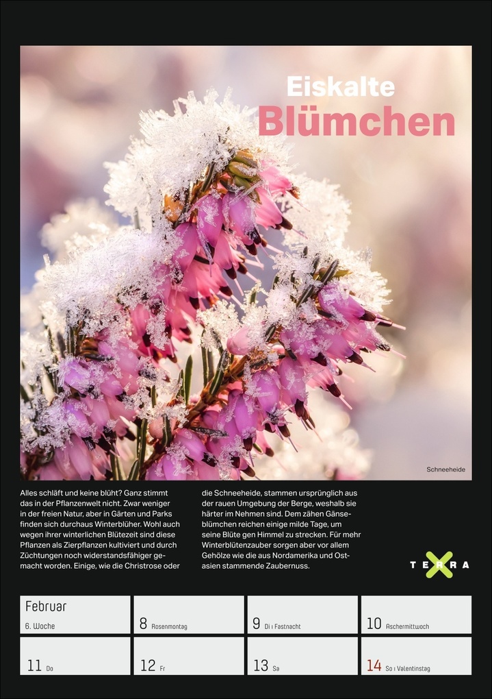 Weitere Ansicht: Terra X - Das Wunder Erde Wochenplaner 2027