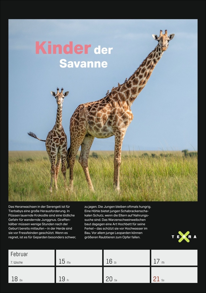 Weitere Ansicht: Terra X - Das Wunder Erde Wochenplaner 2027