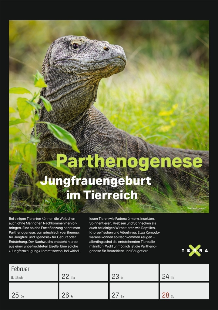 Weitere Ansicht: Terra X - Das Wunder Erde Wochenplaner 2027