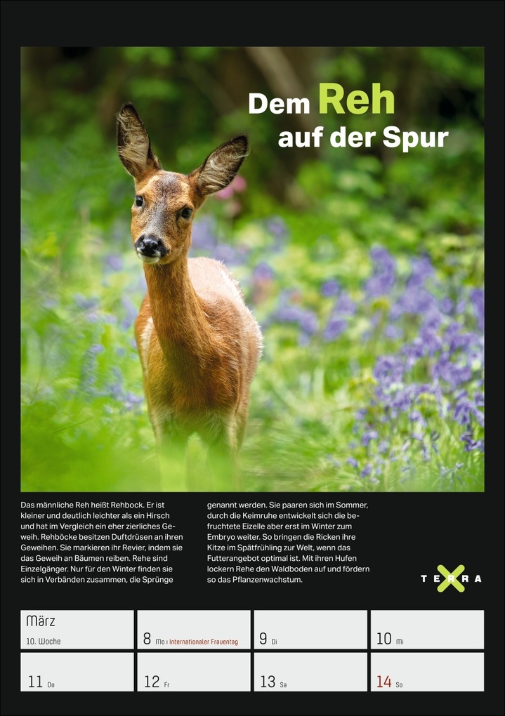 Weitere Ansicht: Terra X - Das Wunder Erde Wochenplaner 2027