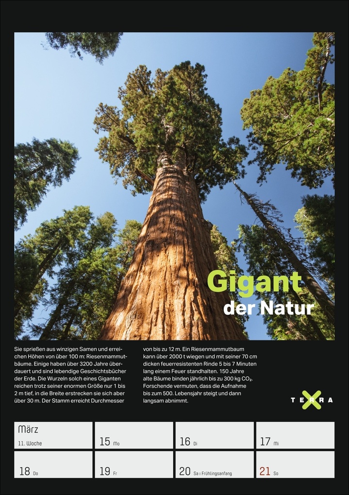 Weitere Ansicht: Terra X - Das Wunder Erde Wochenplaner 2027