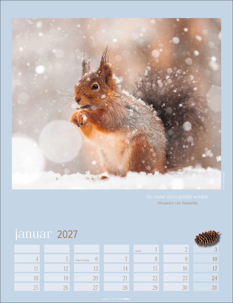 Weitere Ansicht: Eichhörnchen Kalender 2027