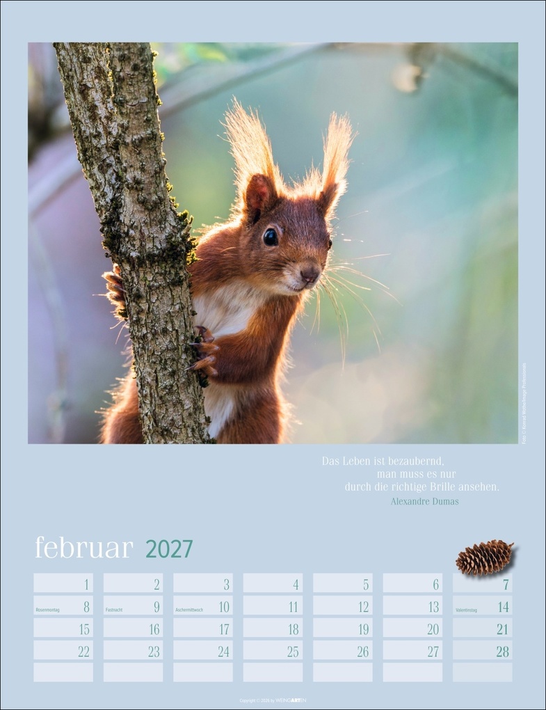 Weitere Ansicht: Eichhörnchen Kalender 2027