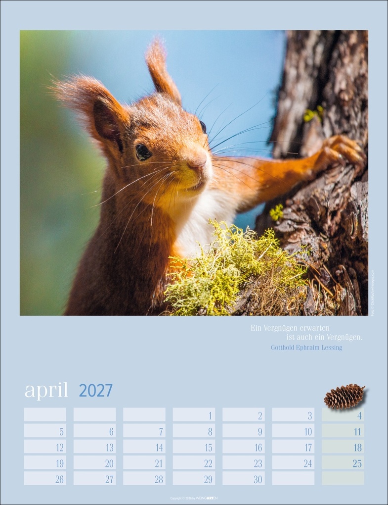 Weitere Ansicht: Eichhörnchen Kalender 2027