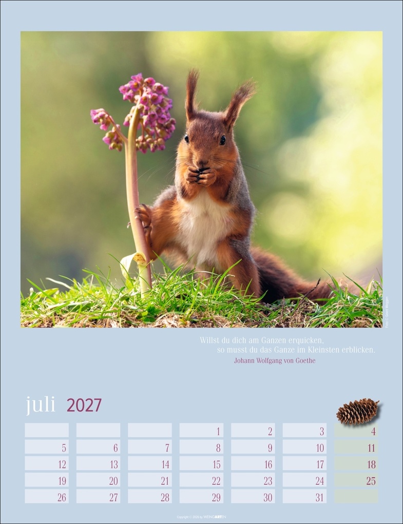 Weitere Ansicht: Eichhörnchen Kalender 2027