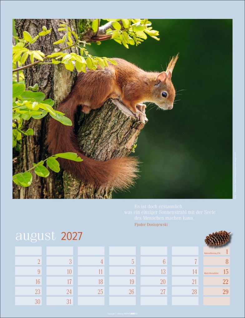 Weitere Ansicht: Eichhörnchen Kalender 2027