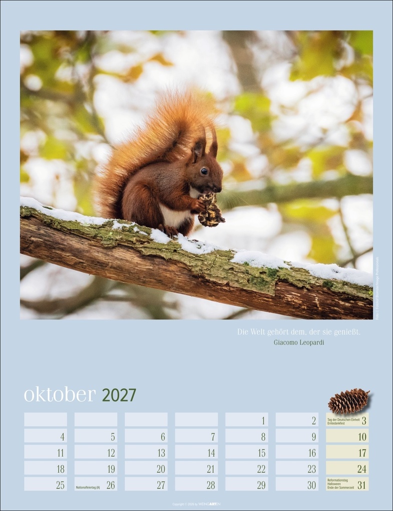 Weitere Ansicht: Eichhörnchen Kalender 2027