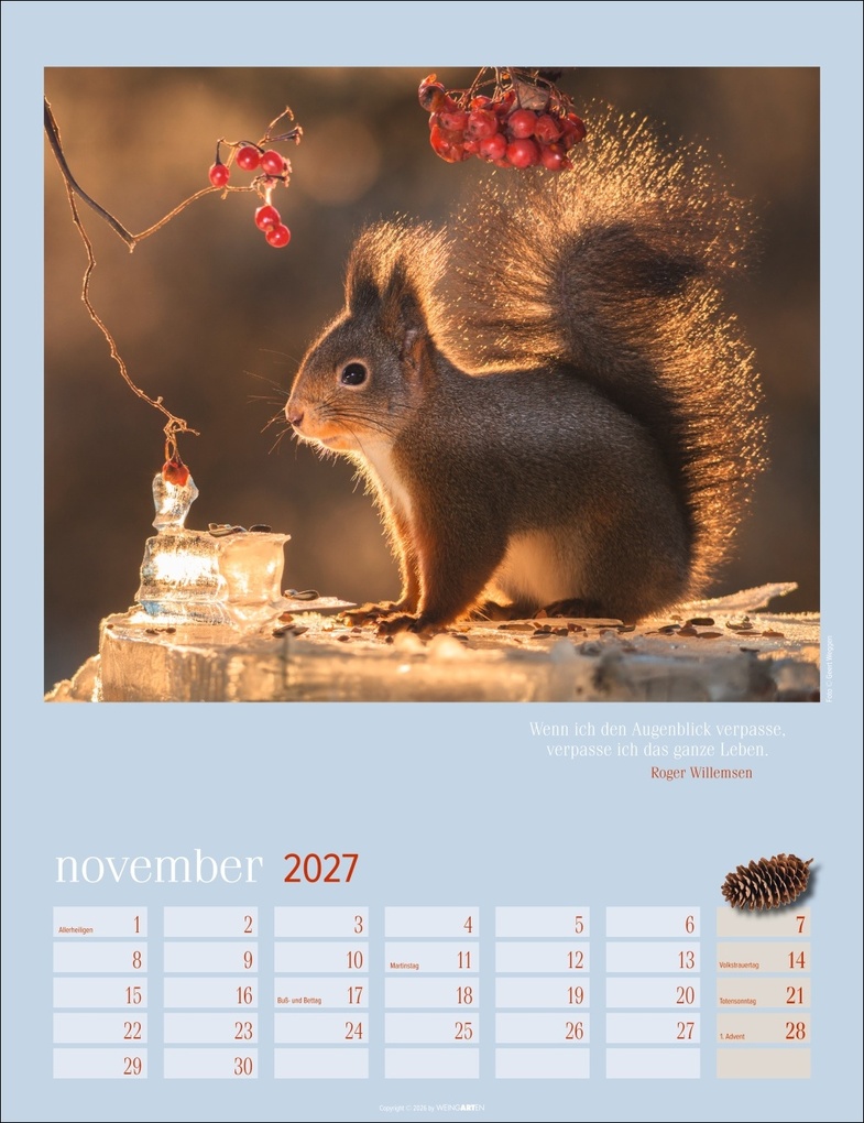 Weitere Ansicht: Eichhörnchen Kalender 2027