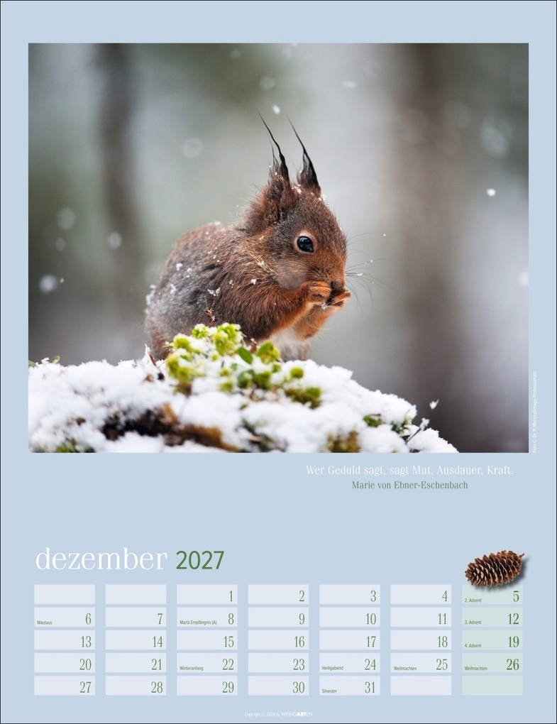 Weitere Ansicht: Eichhörnchen Kalender 2027