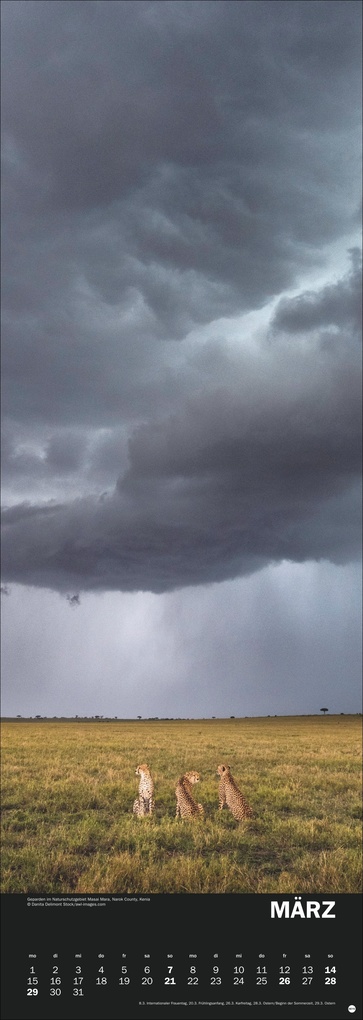 Weitere Ansicht: Naturgewalten Vertical Kalender 2027