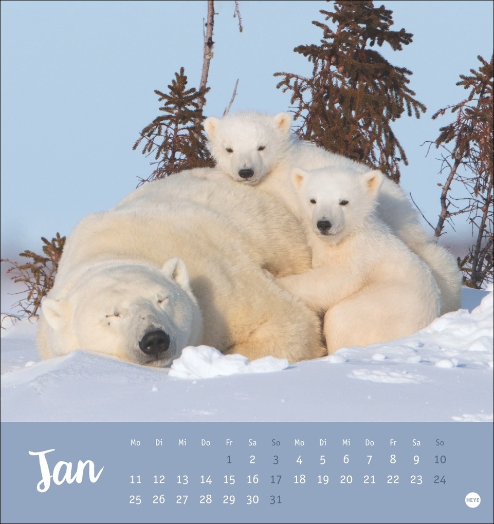 Weitere Ansicht: Bärenstark Postkartenkalender 2027