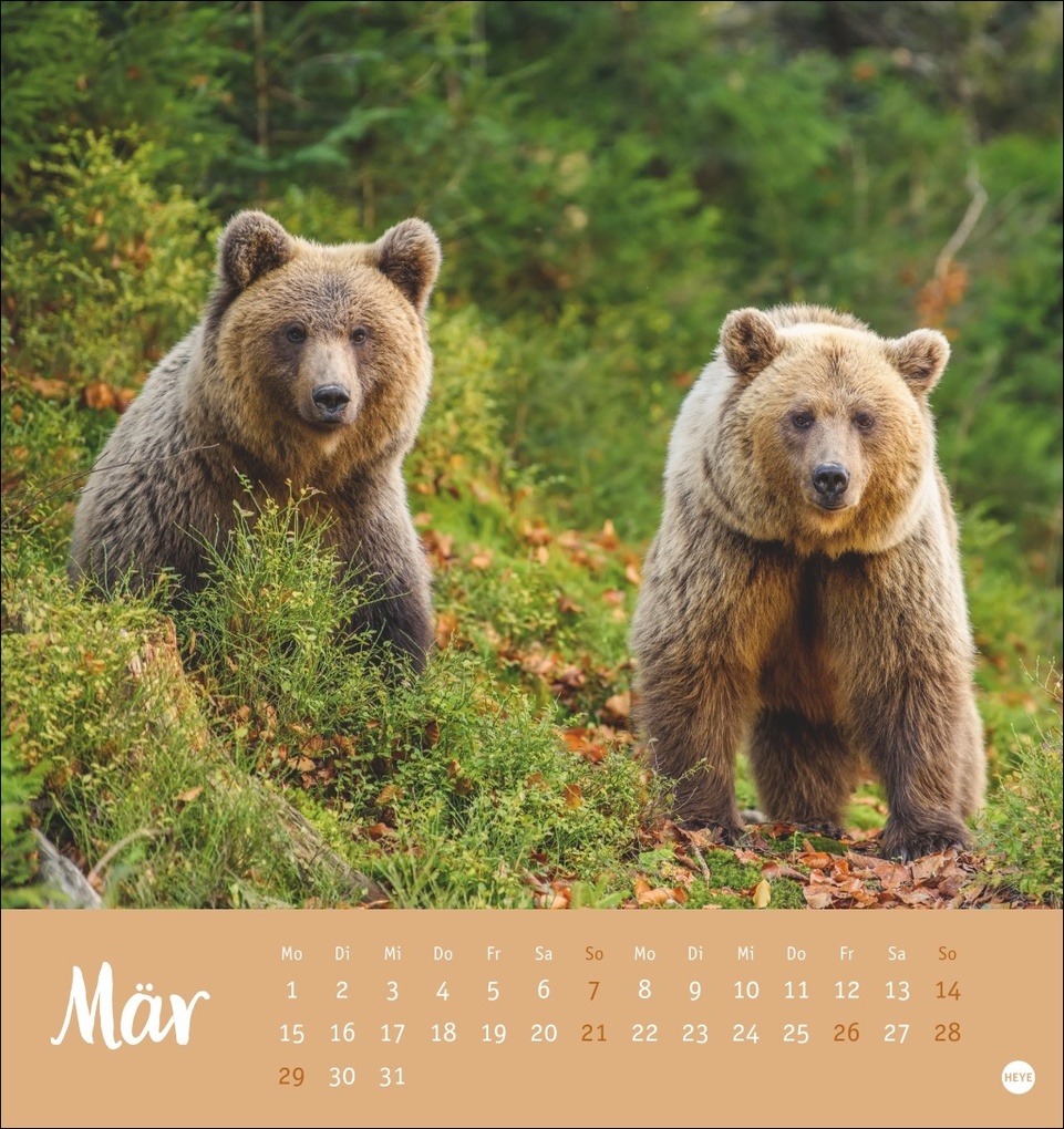 Weitere Ansicht: Bärenstark Postkartenkalender 2027