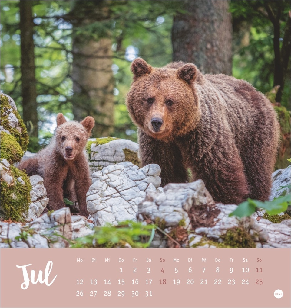 Weitere Ansicht: Bärenstark Postkartenkalender 2027